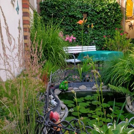 לובן Spreewald Ferienwohnung Wollgast מראה חיצוני תמונה