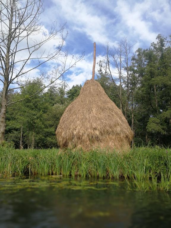 לובן Spreewald Ferienwohnung Wollgast חדר תמונה