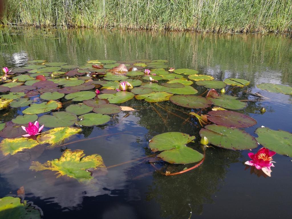 לובן Spreewald Ferienwohnung Wollgast חדר תמונה