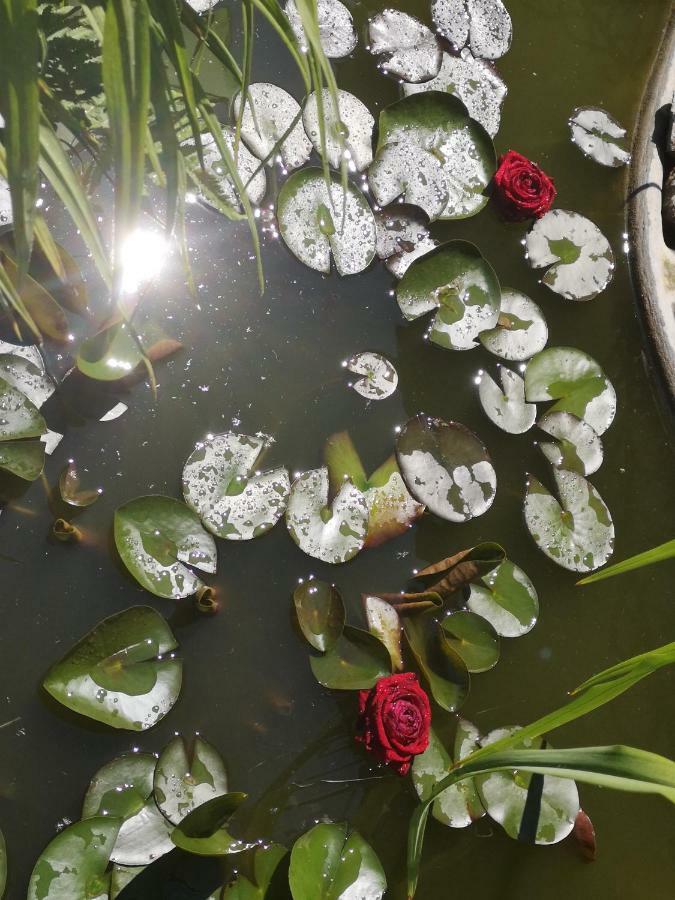 לובן Spreewald Ferienwohnung Wollgast מראה חיצוני תמונה
